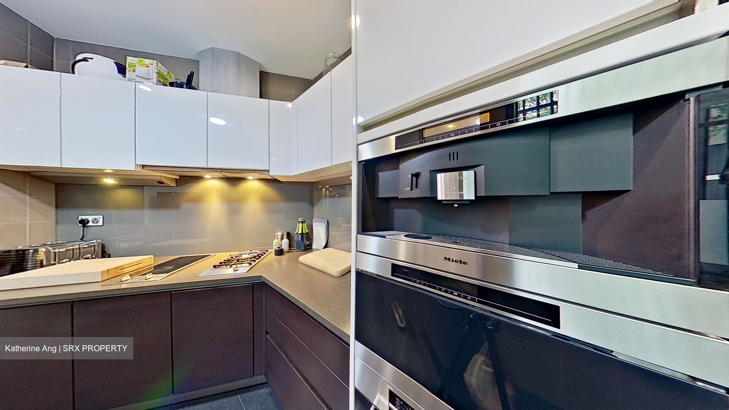 Belle Vue Residences (D9), Condominium #444484971